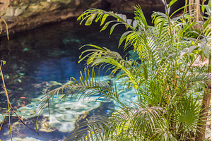 Stunning Yucatan cenote with crystal, a Nature Photo by Elizaveta Galitskaya