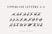 Froero Monogram font, Luxury Logo, a Script Font by Tanondesign (Thumbnail 3 of 4)