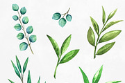 Watercolor Green Leaves, a Healthcare Illustration by Color_Brush (Thumbnail 3 of 8)