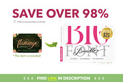 Flamingo - formal script, a Script Font by Blessed Print (Thumbnail 13 of 13)
