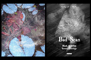 Bad Scan: Black & White Overlays, a Texture Graphic by Purple (Thumbnail 18 of 21)