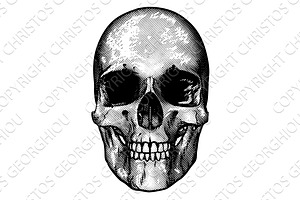 Skull Retro Style Drawing