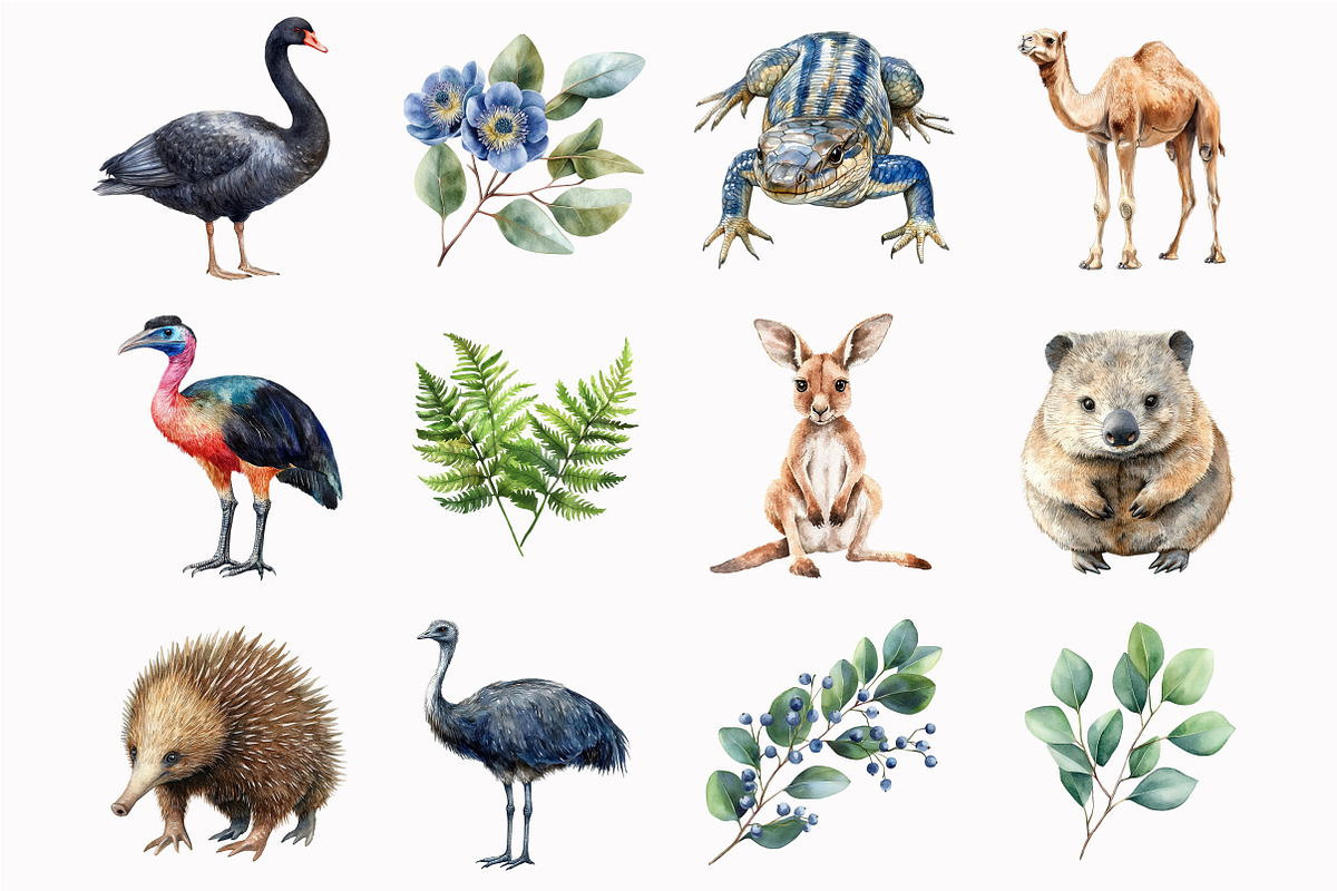 Watercolor Australian Animals Clipar, an Illustration by Design Market (Photo 5 of 5)
