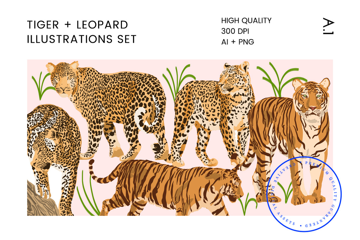Tiger & Leopard Vector Illustrations, an Animal Illustration by Human-made. Made to feel. (Photo 1 of 2)