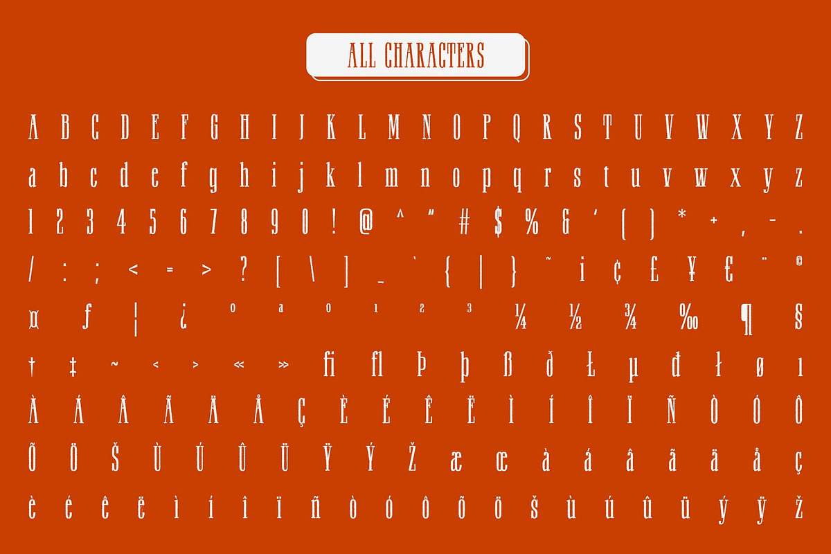 Railine Rough, a Serif Font by Craft Supply Co. (Photo 8 of 8)