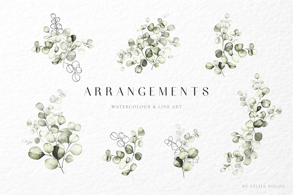 Eucalyptus watercolor illustrations, a Decorative Illustration by Liliia Polos Illustration (Photo 3 of 11)