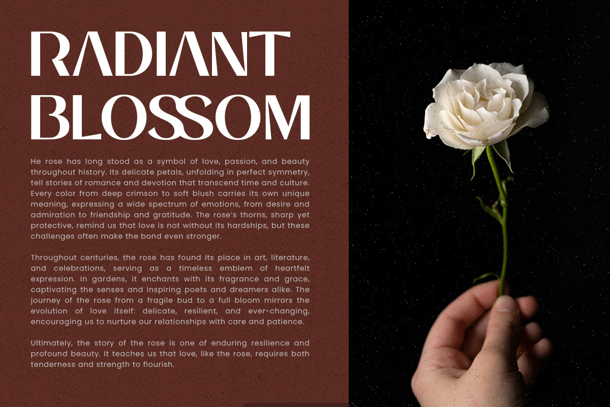 Balvier – Modern Luxury Sans Font, a Sans Serif Font by roomspace creative lab (Photo 6 of 12)