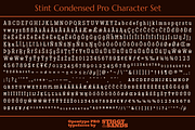 Stint Condensed Pro Family, a Serif Font by Stiggy & Sands (Thumbnail 5 of 5)