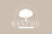 LITERACY Modern and Stylish Serif, a Serif Font by Storytype Studio (Thumbnail 4 of 15)