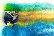 Sand Rising Photoshop Mock-ups, an Action Add-On by SlideSalad (Thumbnail 17 of 21)