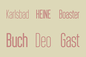 Braden Sans Font Family