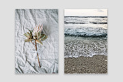 Lifestyle Bundles Collection 2, a Beauty & Fashion Photo by Floral Deco (Thumbnail 12 of 66)