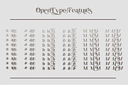 Horst More Retro Soft Serif, a Serif Font by AuthenType (Thumbnail 8 of 10)