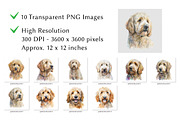 Goldendoodle Watercolor Clipart, an Animal Illustration by milkghost (Thumbnail 2 of 2)