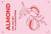 ALMOND LINE ART SET (14+ elements), a Food Illustration by Bonfloret Studio (Thumbnail 1 of 8)