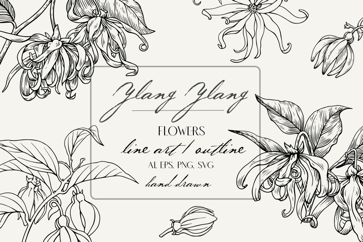 Flowers Ylang Ylang. Botanical set, an Object Graphic by ON_lineart_store (Photo 1 of 8)