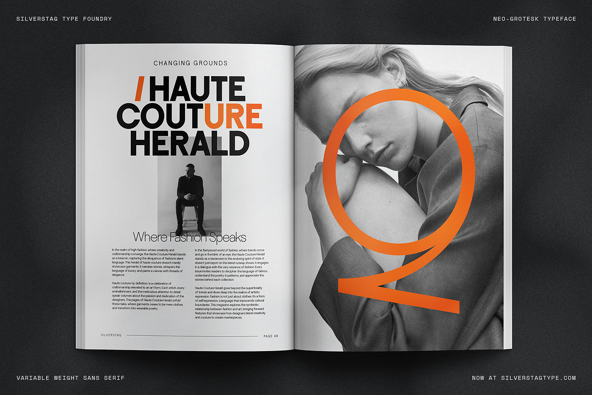 SLTF La Villa - Neo-Grotesk Typeface, a Sans Serif Font by SilverStag Type Foundry (Photo 9 of 20)