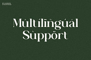 Auralux - Modern Serif Font, a Serif Font by Almeera Std (Thumbnail 3 of 5)