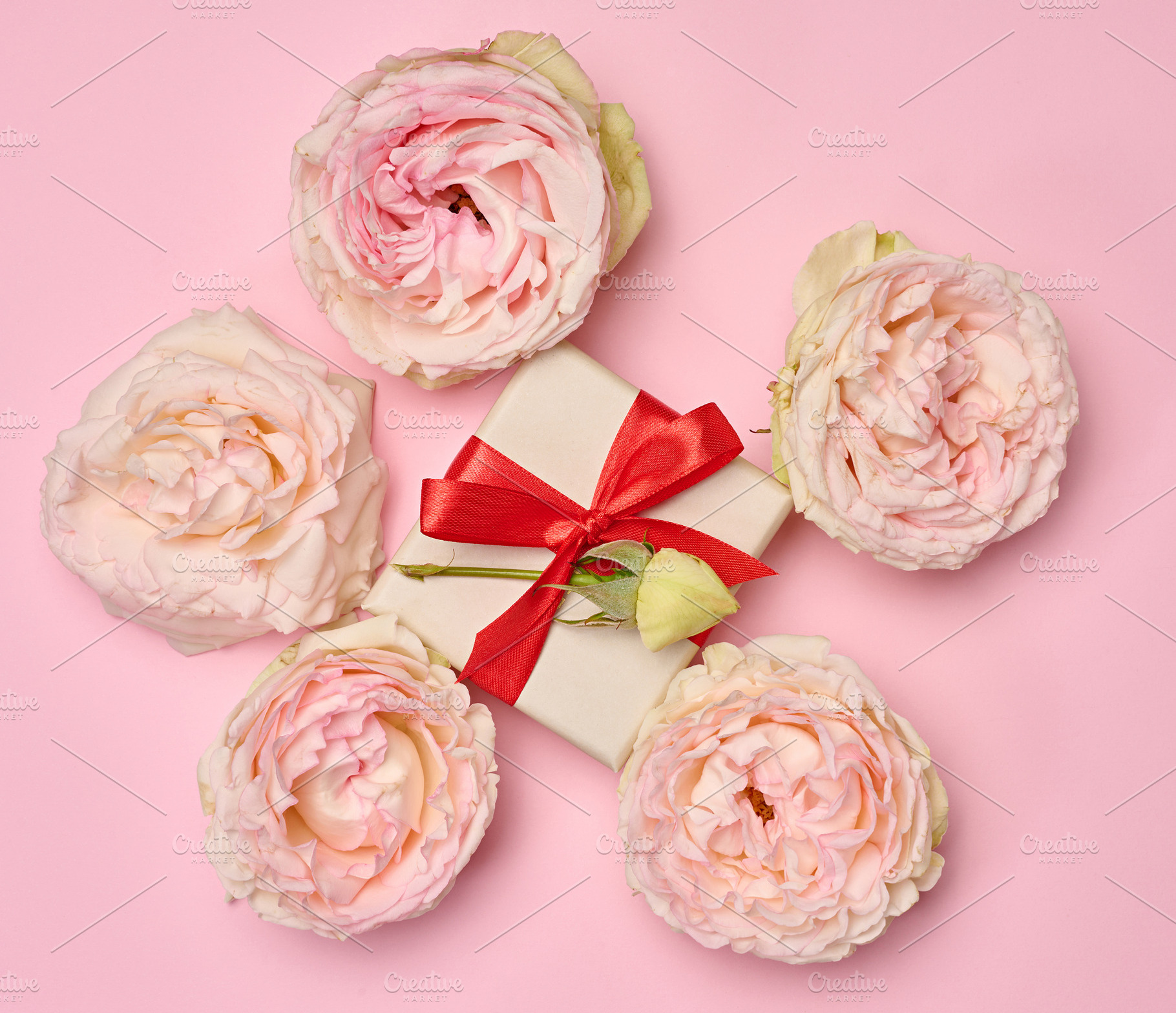 Gift box tied with a red ribbon and blooming pink roses on a pin, a Holiday Photo by ndanko