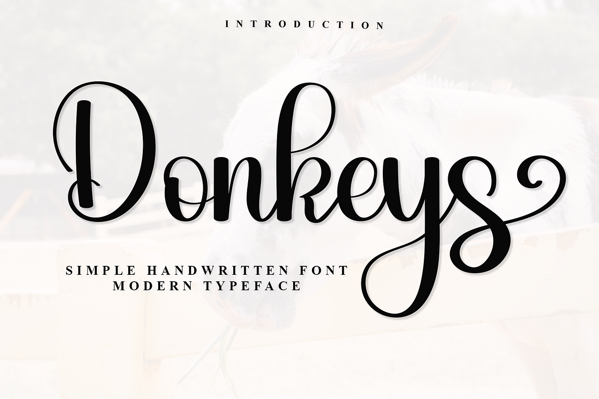 Donkeys, a Script Font by FreshTypeINK (Photo 1 of 7)