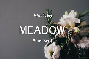 Meadow-Sans Serif font family