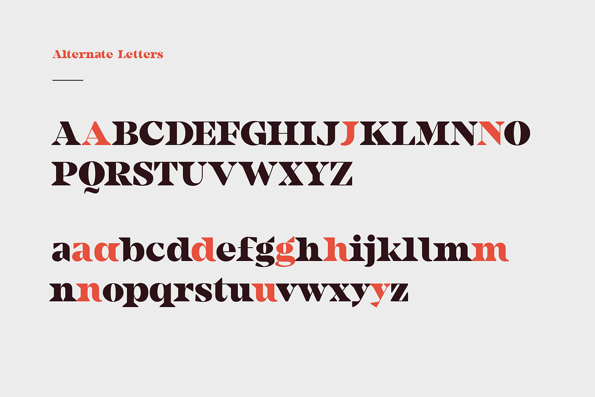Camijo Display Serif Font preview 8