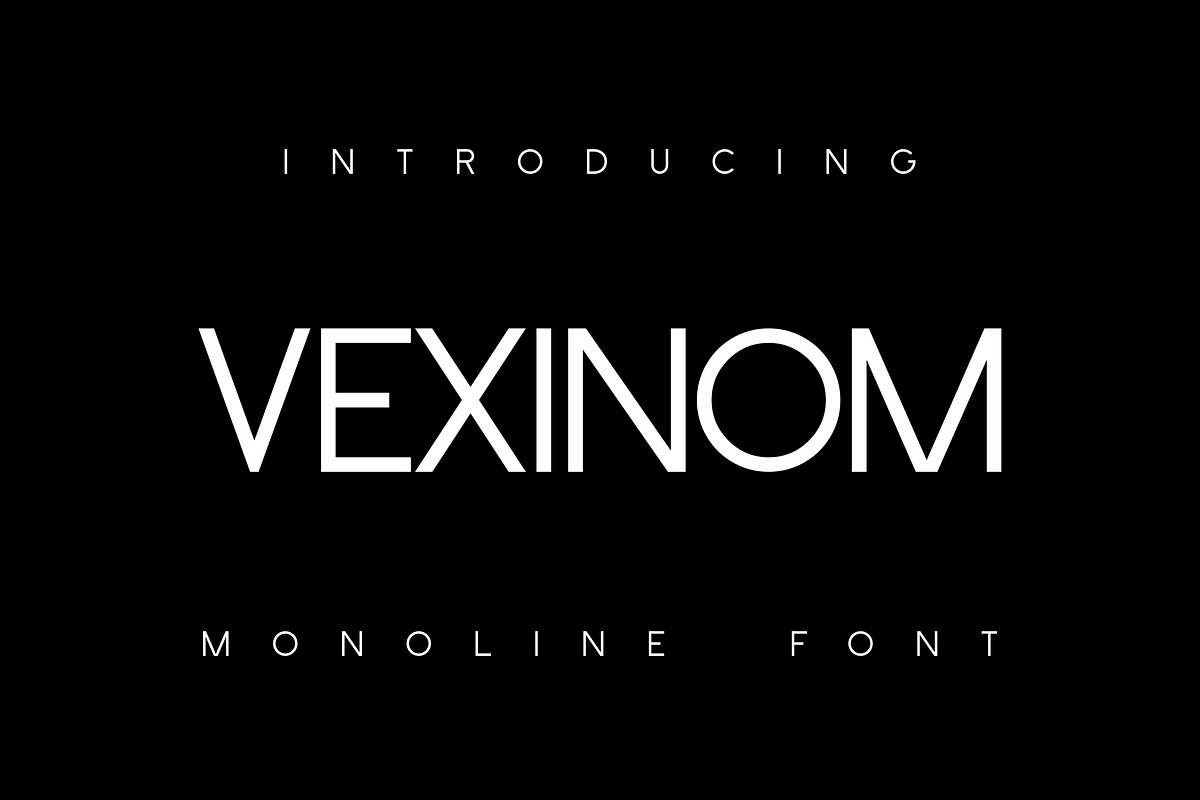 Vexinom Nue Model Sans, a Sans Serif Font by Monoletter Studio (Photo 1 of 4)