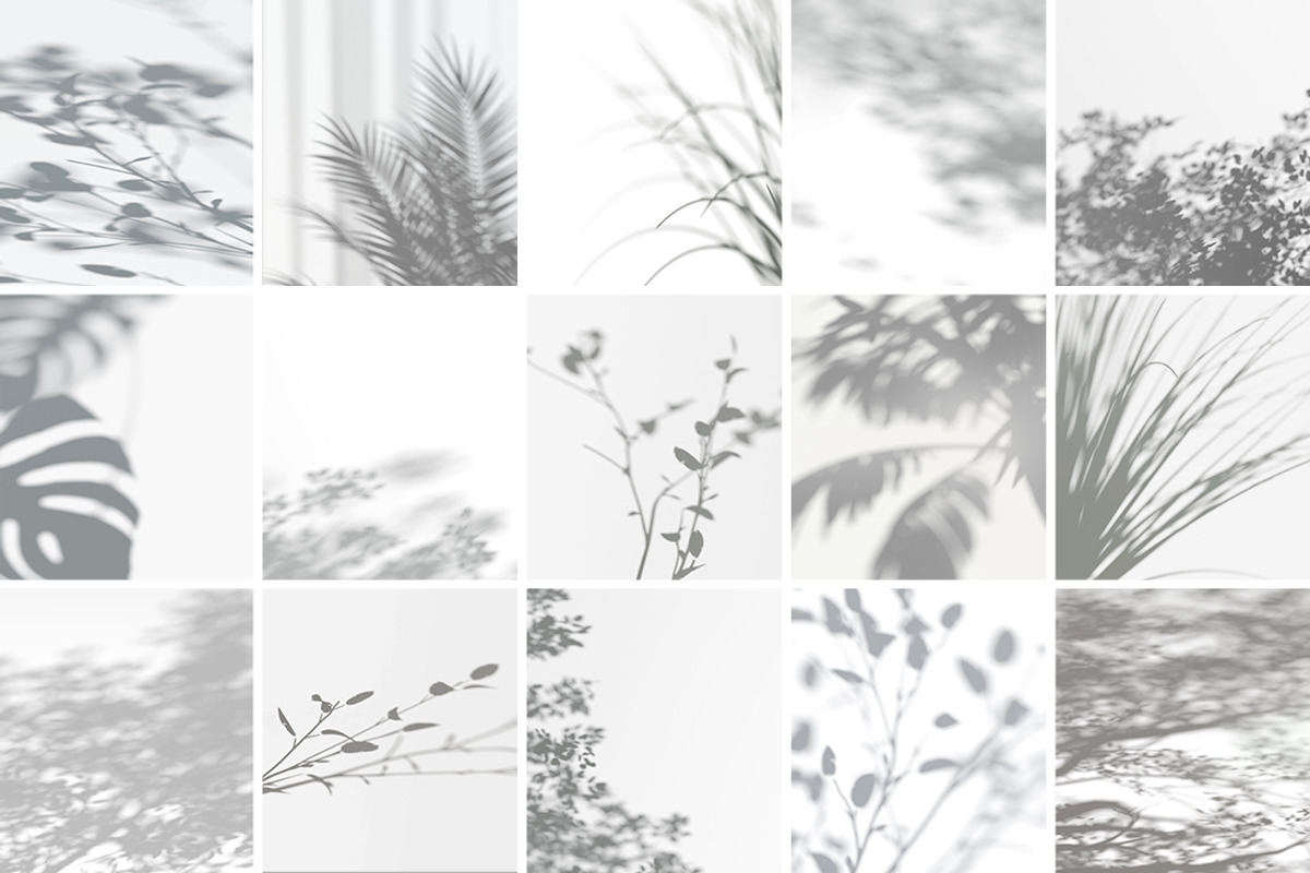 Plant Shadow Backdrops Video Bundle, a Mockup by rebrandy (Photo 3 of 24)