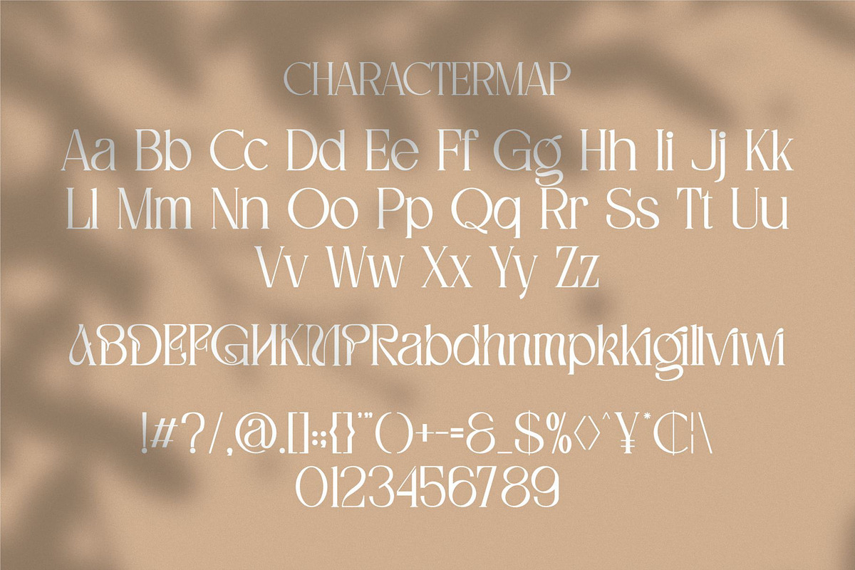 Regina || Modern Serif Font, a Serif Font by Idea Studio (Photo 8 of 10)
