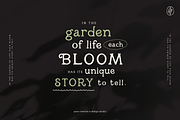 Millie June: A Hand-Drawn Font, a Handwritten Font by Pace Creative Design (Thumbnail 11 of 11)
