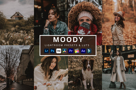 Moody Lightroom Presets & Luts