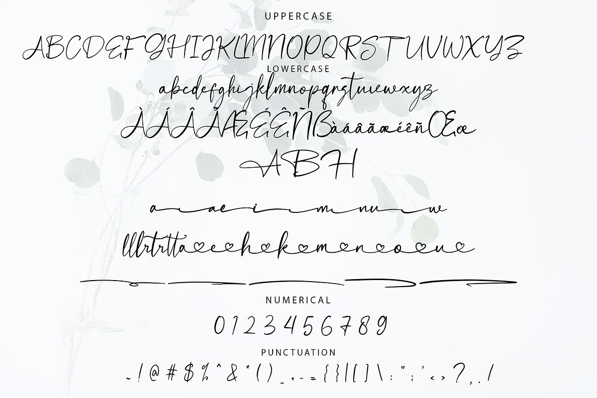 Mellakottina Handwriting Script Font, a Script Font by NTC Graphic (Photo 8 of 9)