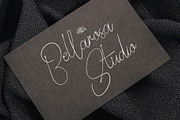 Seillandry Modern Elegant Signature, a Handwritten Font by BrandSemut (Thumbnail 4 of 10)