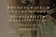 The Disma Calligraphy Script Font, a Script Font by Elegant Font (Thumbnail 9 of 10)