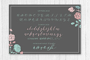 Nella Script (update), a Script Font by Olexstudio (Thumbnail 4 of 5)