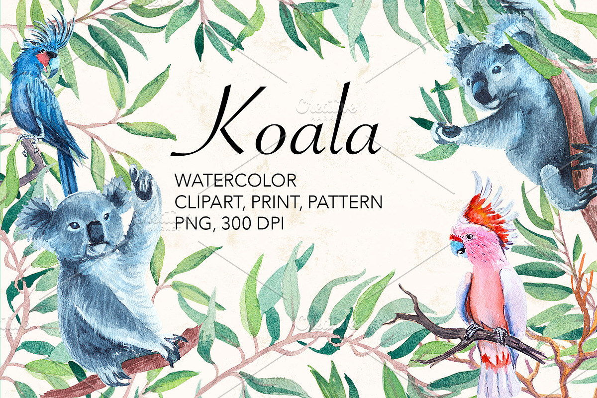 Watercolor koala, parrot, kangaroo., an Animal Illustration by lilisavelieva (Photo 1 of 5)