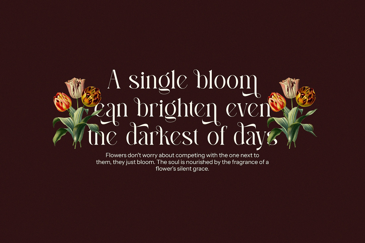Alissan - Modern Serif Font, a Serif Font by Graphicxell (Photo 2 of 8)