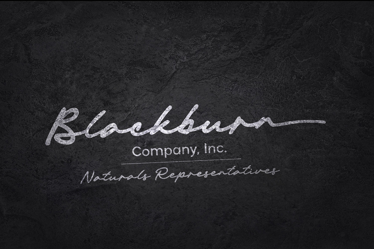 Michigan Signature, a Script Font by Cititype (Photo 3 of 14)