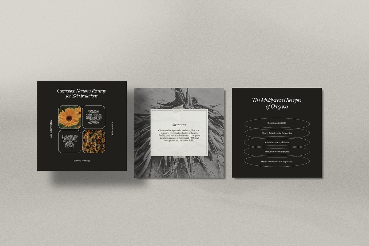 Herbal Medicine Instagram Templates, a Social Media Template by Terraa Studio Design (Photo 8 of 10)