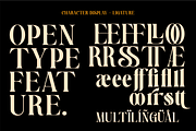 Endbrium - A Modern Serif Display, a Serif Font by zamjumps (Thumbnail 11 of 12)