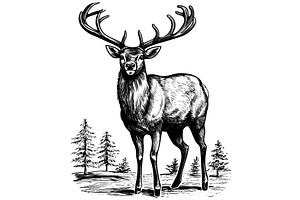 Reindeer in Forest Woodcut