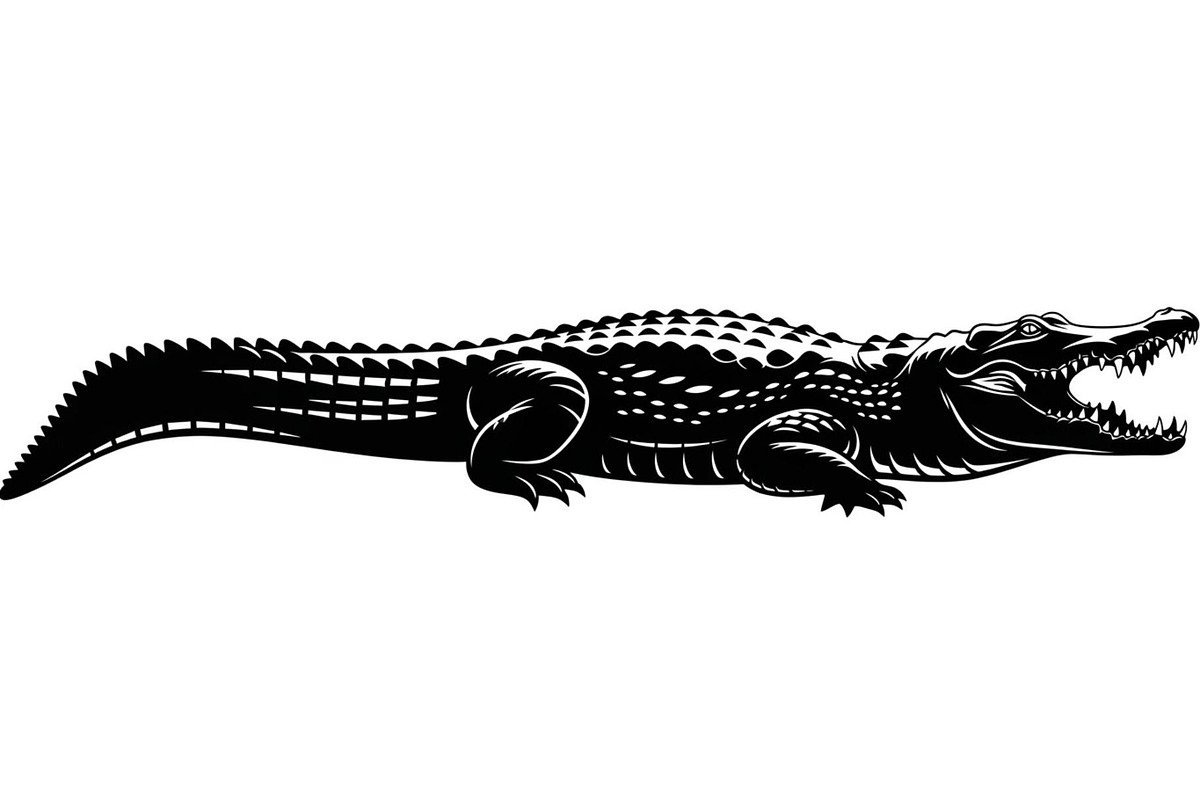 Crocodile Alligator Vector Bundle, an Illustration by jahid234 (Photo 4 of 51)