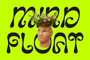 CS Rianty – Trippy Font, a Sans Serif Font by Craft Supply Co. (Thumbnail 2 of 8)