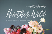 Another Wild Modern Brush Script, a Script Font by INKMETHIS (Thumbnail 1 of 7)