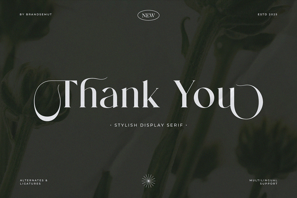 Mending – Stylish Display Serif Font, a Serif Font by BrandSemut (Photo 10 of 10)