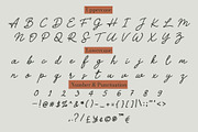 Alacati - Elegant Handwritten Script, a Handwritten Font by Mockmenot (Thumbnail 4 of 6)