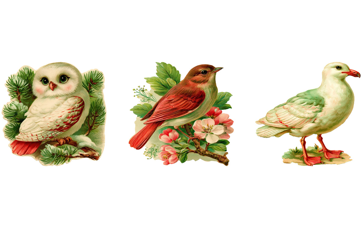 Watercolor Birds Clipart, a Seasonal Illustration by CreationArt (Photo 5 of 5)