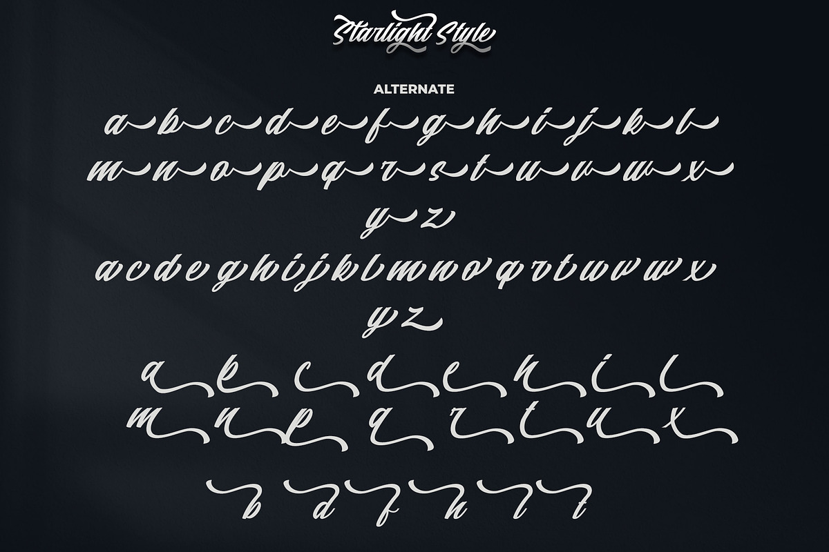 Starlight || Modern Script, a Script Font by Analogous (Photo 14 of 16)