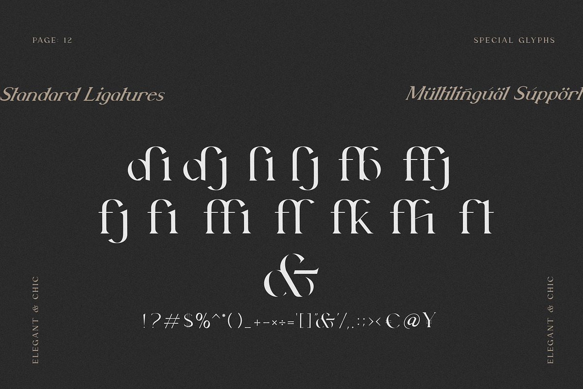 Beauté Modern Serif Font Family, a Handwritten Font by AndrewPixel (Photo 11 of 12)