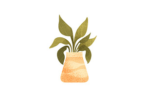 Leafy Houseplant In Ceramic Pot